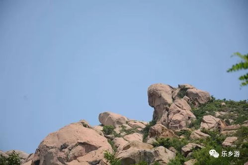 五莲石材城东山奇石多