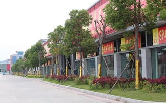花都开了,约吗 赏花不去公园,就来这里 最美石材城欢迎您