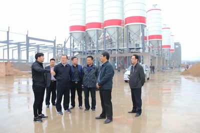 刘洪洁深入阜阳循环经济园区，调研石材城发展情况