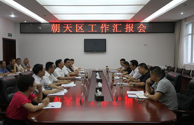 杨凯来我区调研并征求“两个报告”意见——聚焦石材城发展